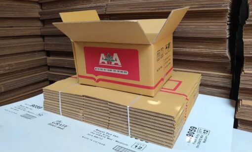 Thiết kế thùng carton miễn phí - Giá in thùng carton tại xưởng