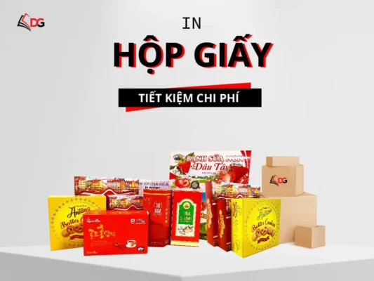 in hộp giấy theo yêu cầu