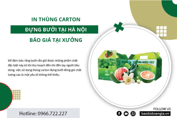 in thùng carton đựng bưởi